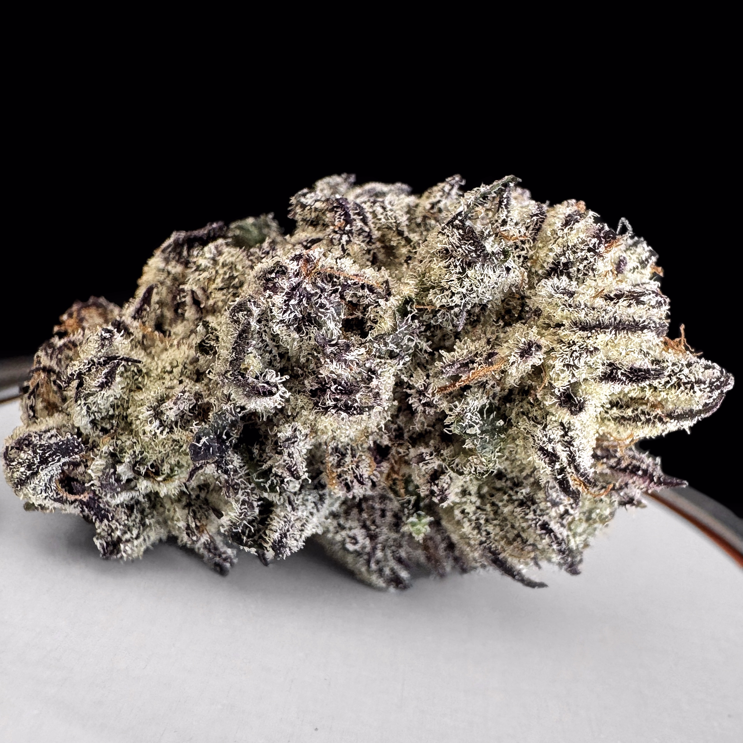 **NEW** Laffy Taffy xr xr $210oz / 120½oz